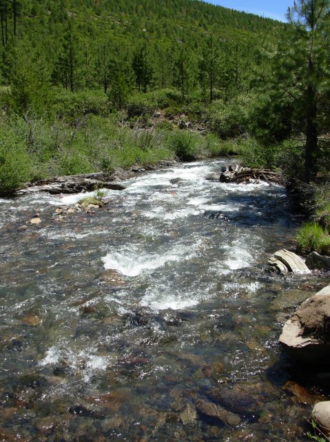 Summer '06 Sunriver 264 